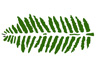 Pro Faux Raised Stencils - Fern Leaf Stencil